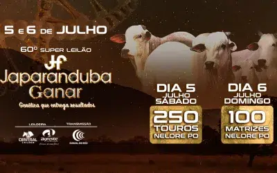 🚀 Dois dias. 350 animais. Um só propósito: Entregar Genética com Resultados!
